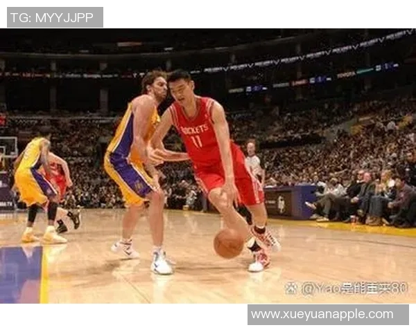 姚明胖妹日记：从篮球场到生活的成长与蜕变之旅